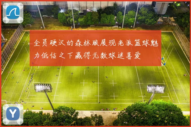 全员硬汉的森林狼展现老派篮球魅力低估之下赢得无数球迷喜爱